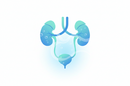 Why Is My Bladder So Small? And More on Urinary Urgency